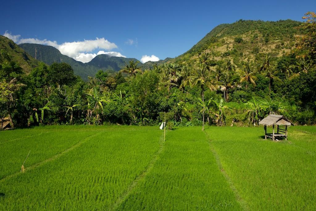 Villa The Kampung Amed Exterior foto